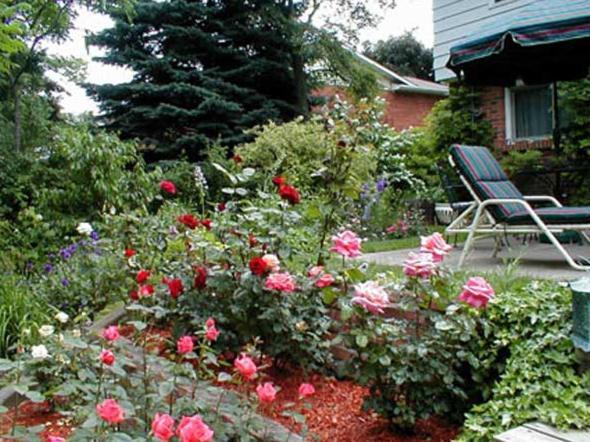 לינה וארוחת בוקר מפלי הניאגרה Dorchester House מראה חיצוני תמונה